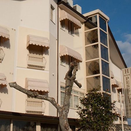 Hotel Peselli 马里纳迪马萨 外观 照片